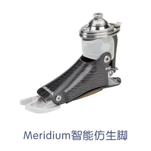 Meridium 智能仿生脚